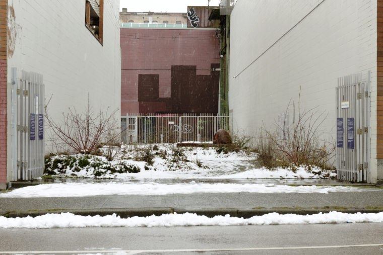 A wide shot of the x̱aw̓s shew̓áy̓ New Growth《新生林》garden seen from the street, with its gates open and a light covering of snow spread over its grounds.