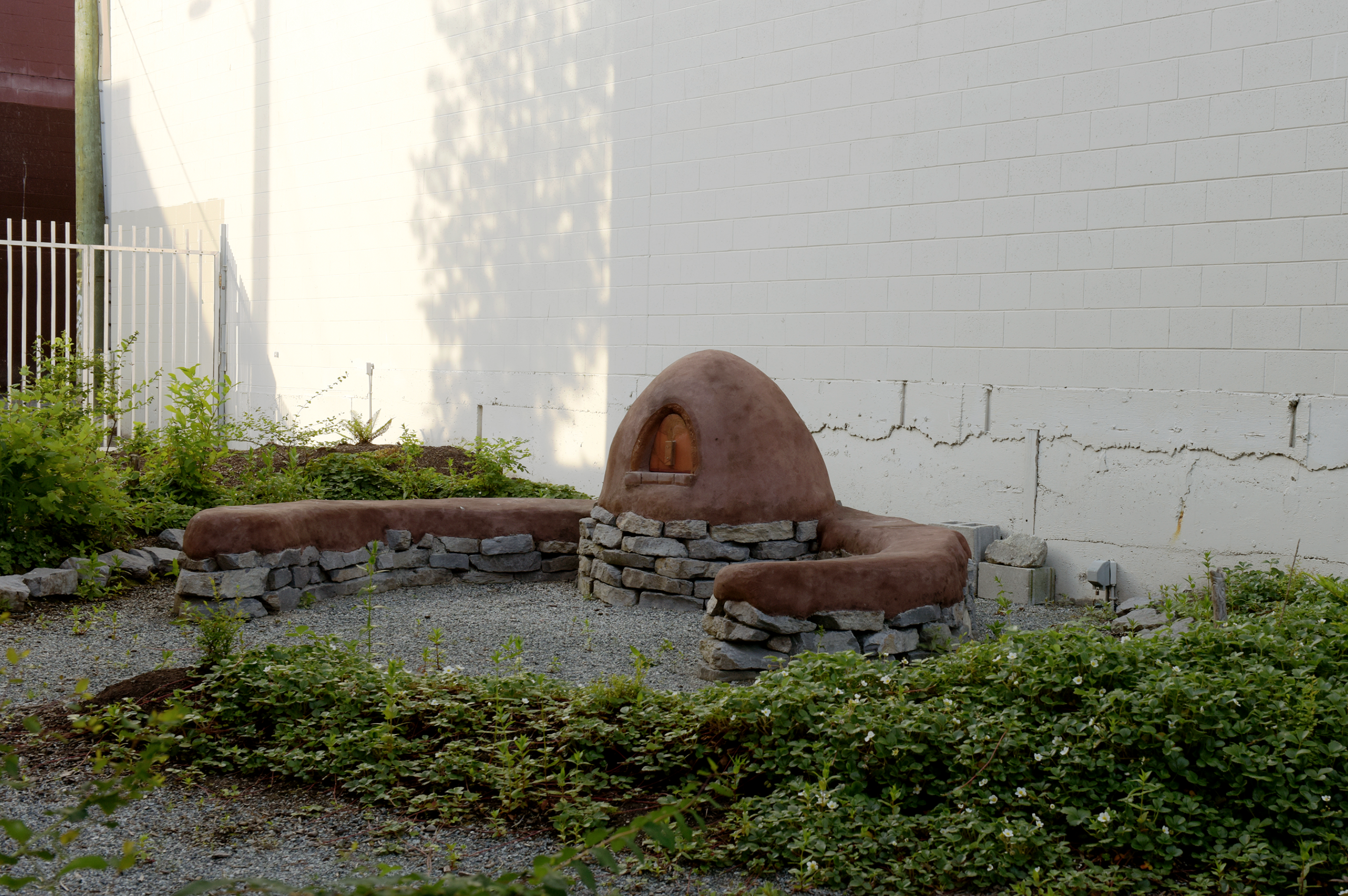 2020-06-12-x̱aw̓s-shew̓ay̓-New-Growth新生林-08-scaled