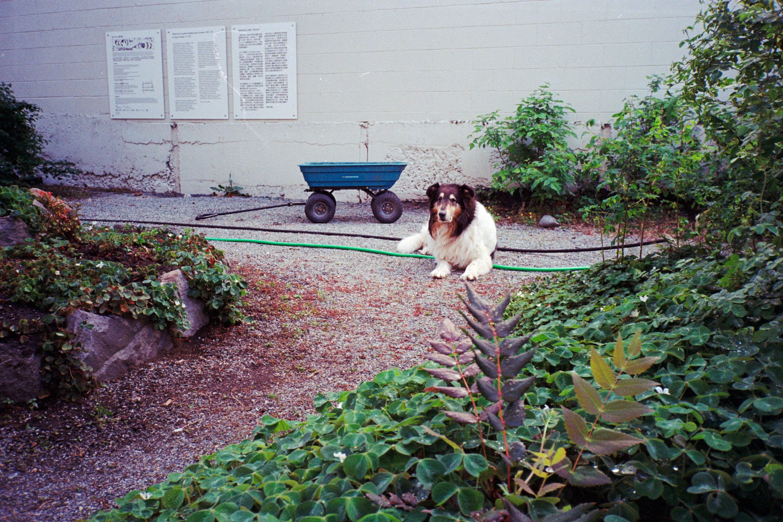 Garden2_15