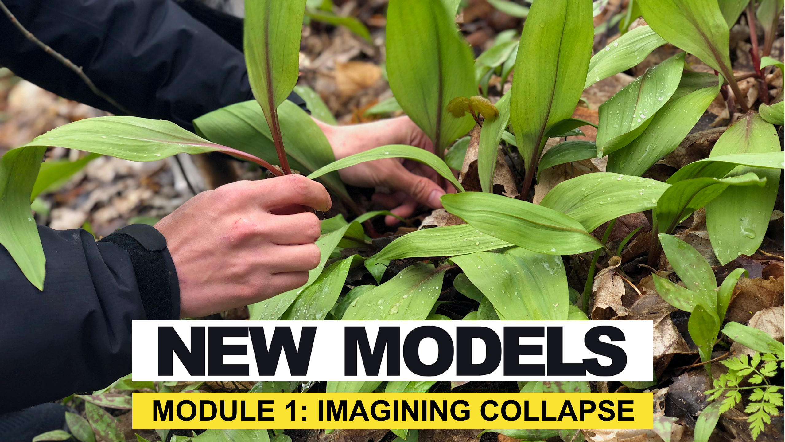 New Models Module 1: Imagining Collapse