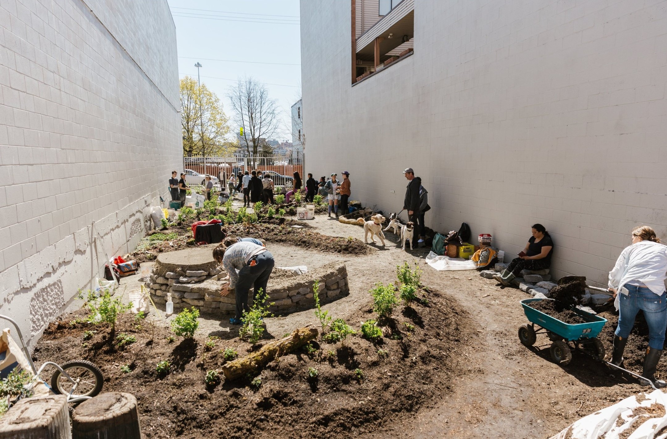 Welcoming & Blanket Ceremony for x̱aw̓s shew̓áy̓ New Growth 新生林