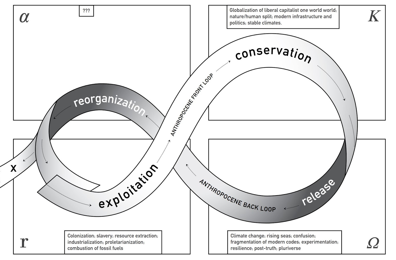 anthroposcene backloop (1)