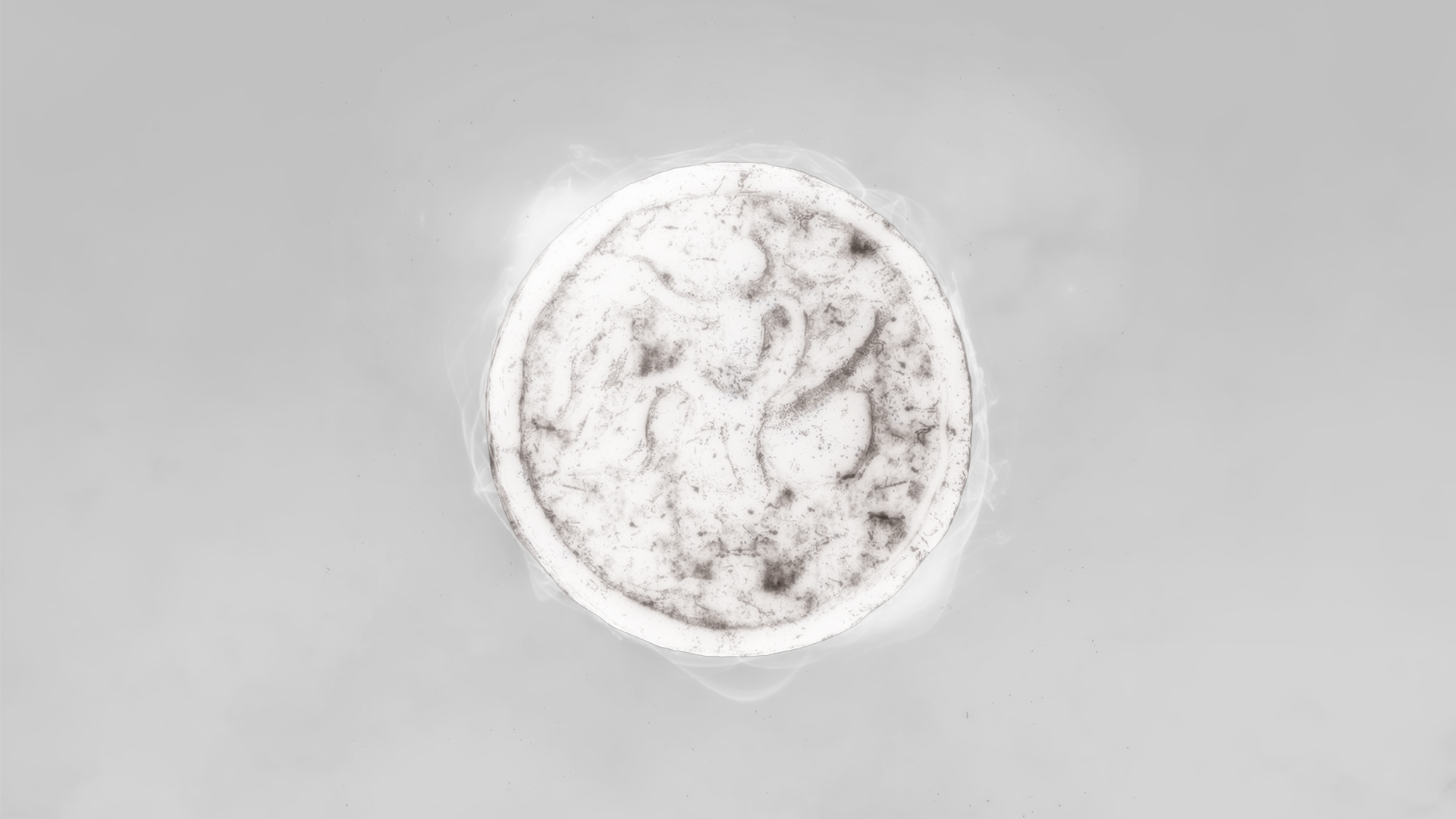 image1_landscape_The Communes, Black Swan, 2021