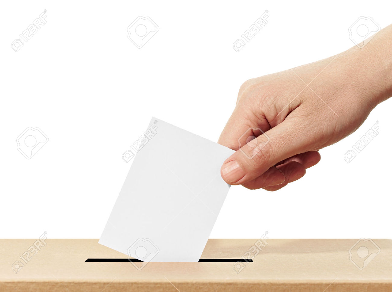 Voting