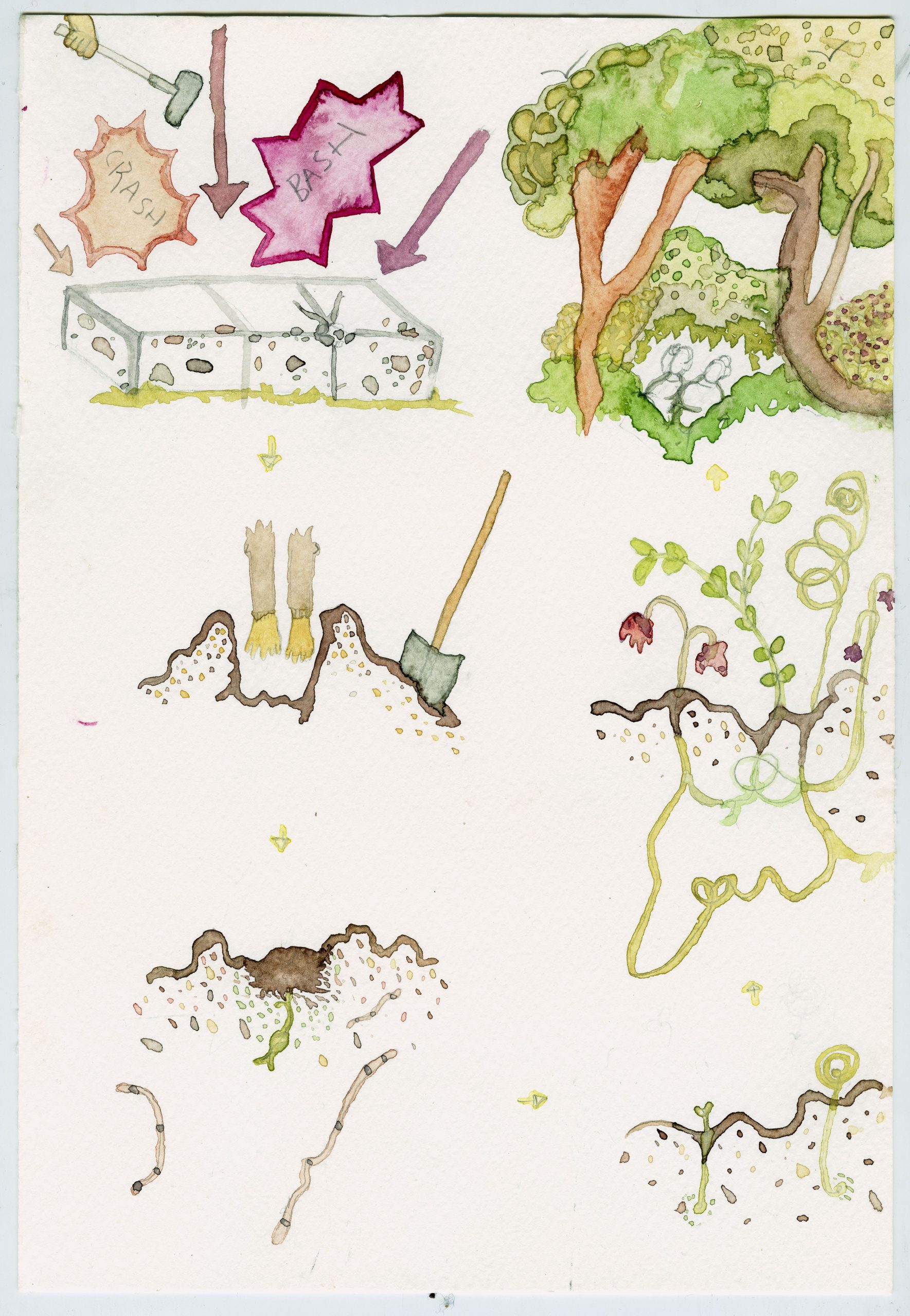 forcast_nkw_christinabattle