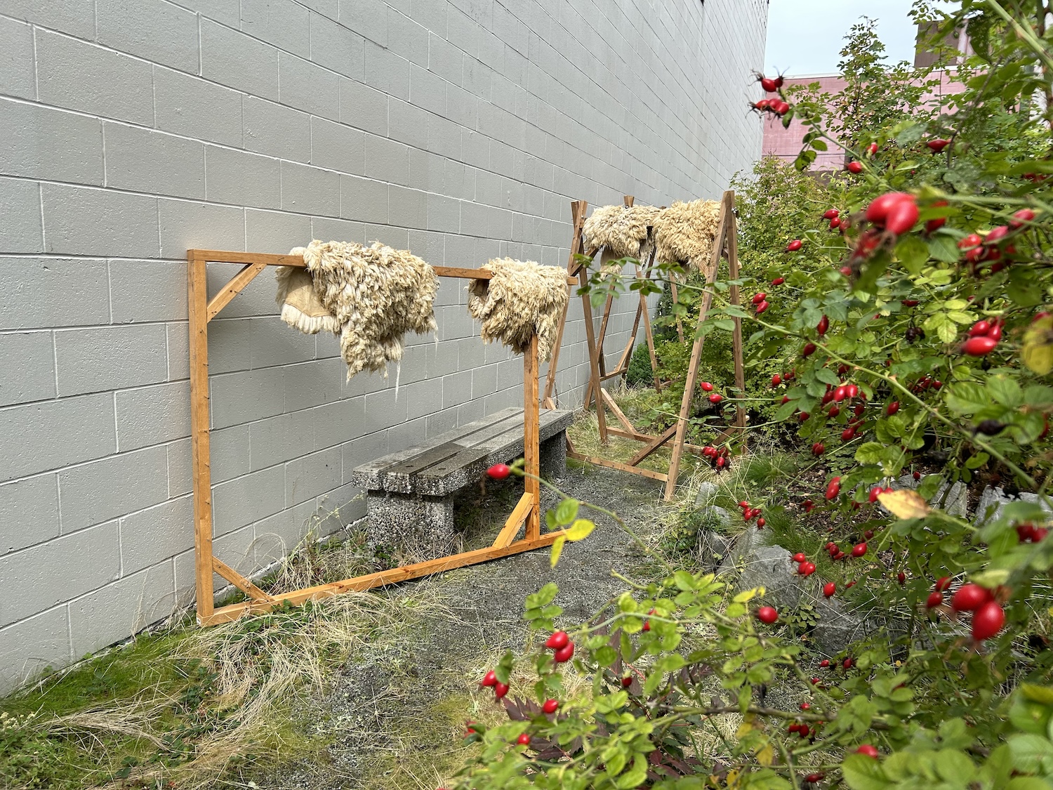 2024-9-28_29-SEARA-x̱aw̓s_shew̓áy̓-art_ecosystem-15