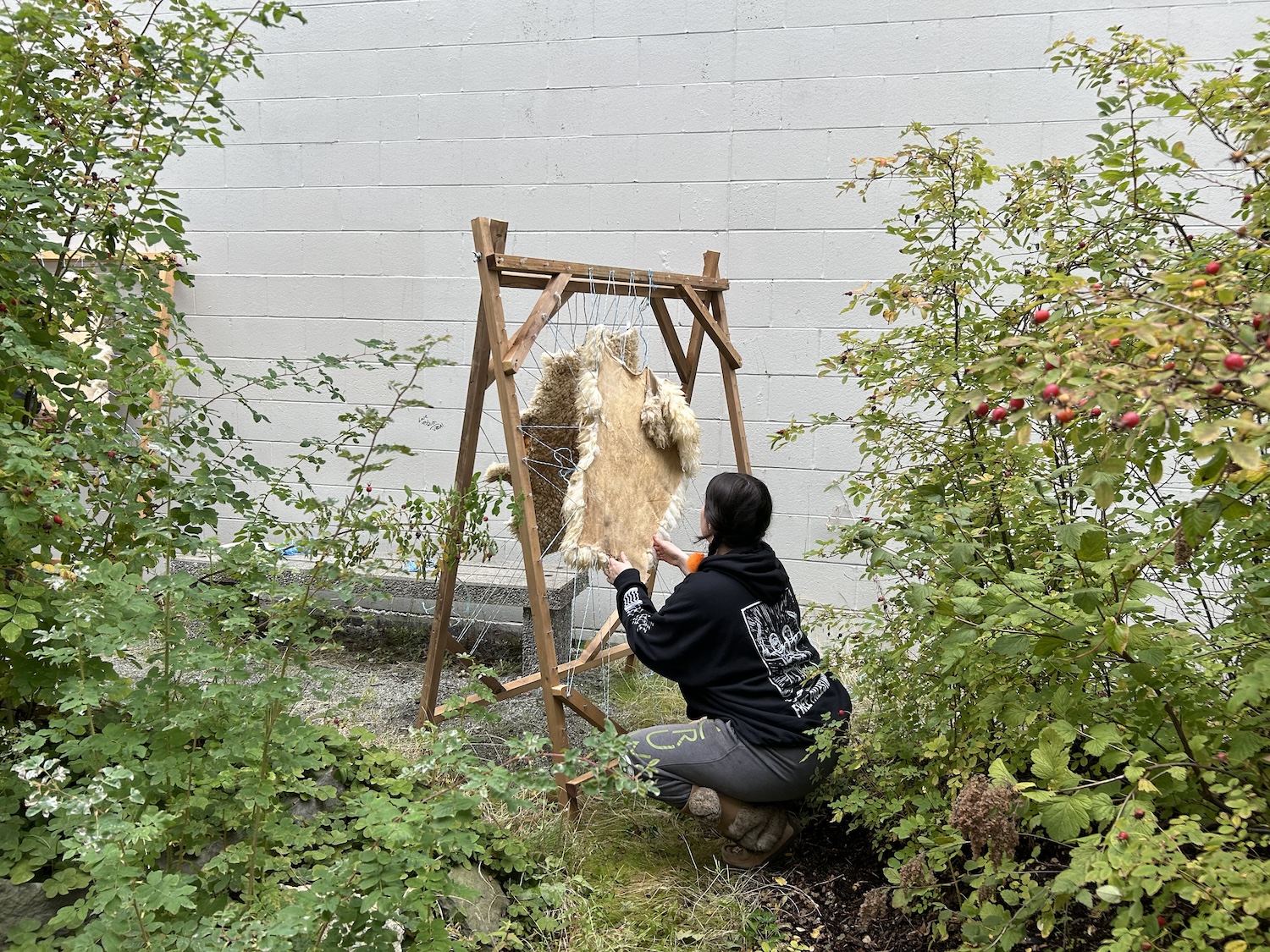 2024-9-28_29-SEARA-x̱aw̓s_shew̓áy̓-art_ecosystem-29