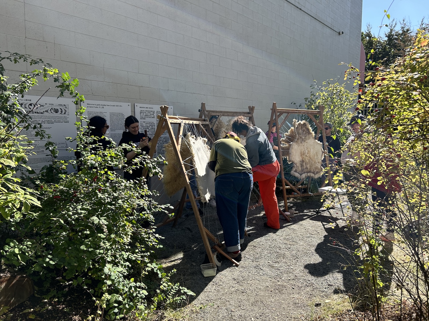 2024-9-28_29-SEARA-x̱aw̓s_shew̓áy̓-art_ecosystem-52