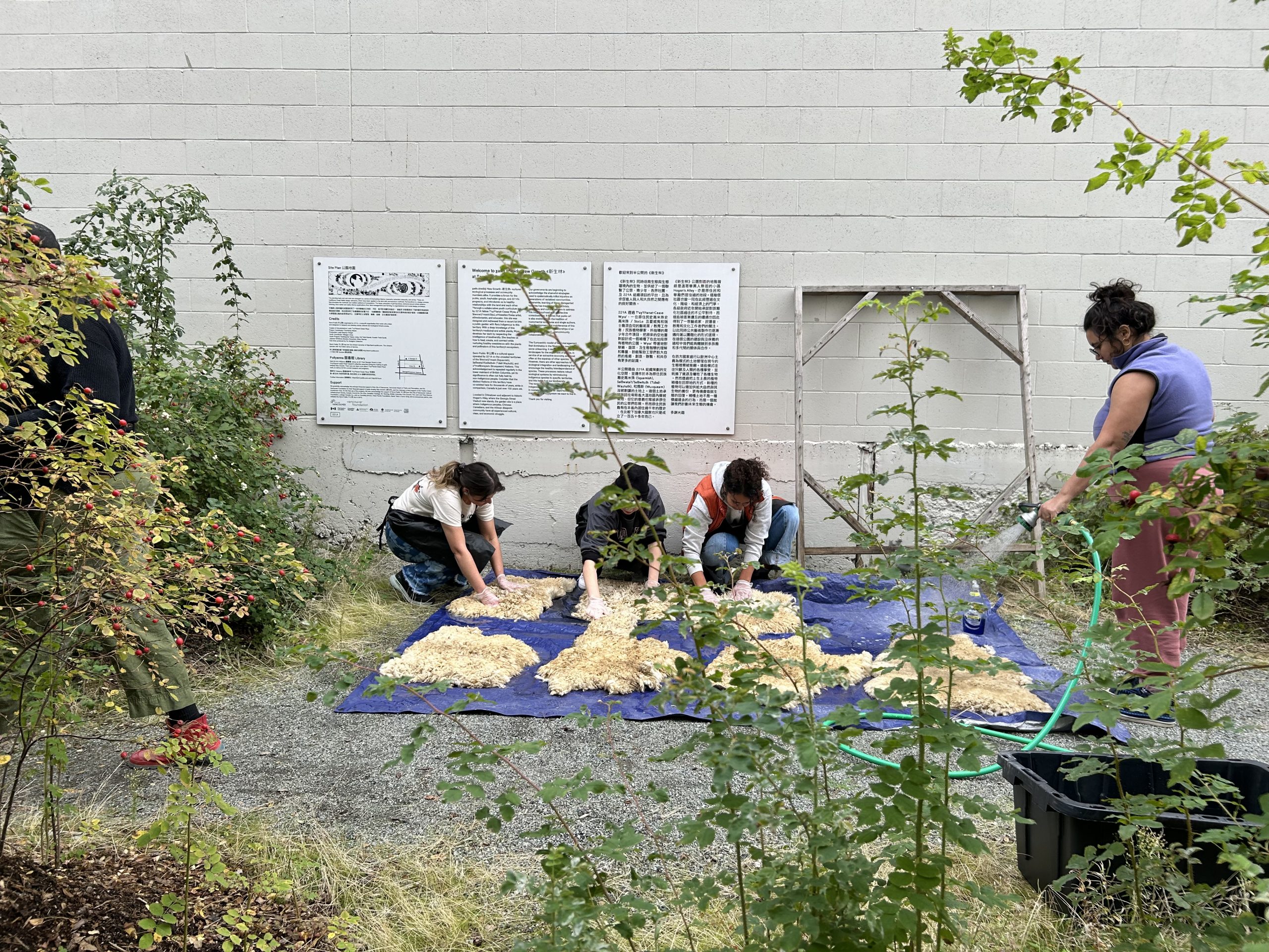 Hide Time: A Medicine Skillshare