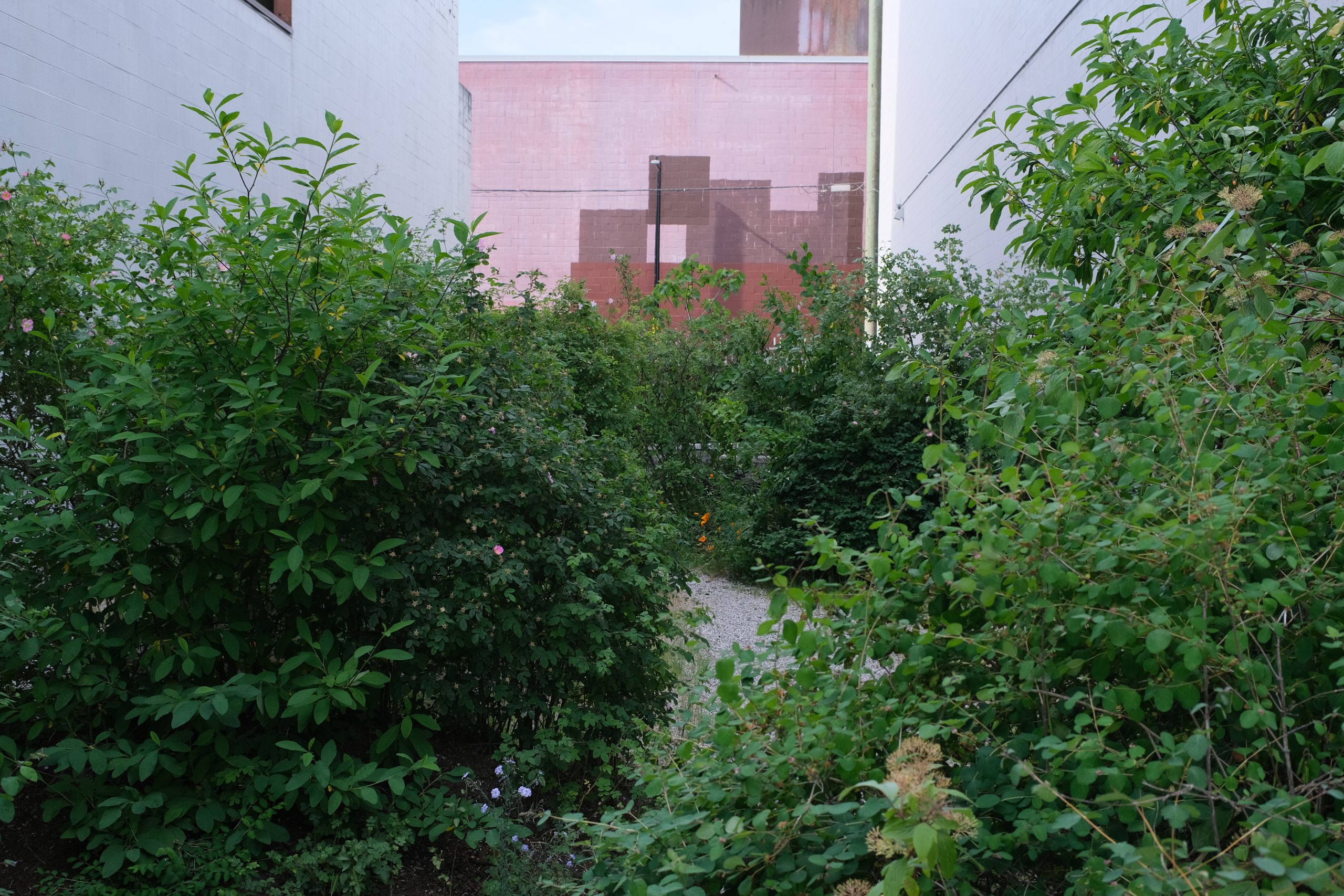 DSCF9362