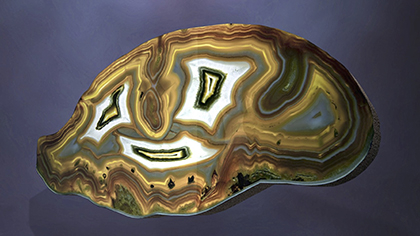 Lindsay Lawson Bunny_rbbt likes you_WEB